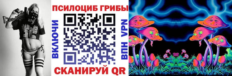 Галлюциногенные грибы Cubensis  купить   Ясногорск 